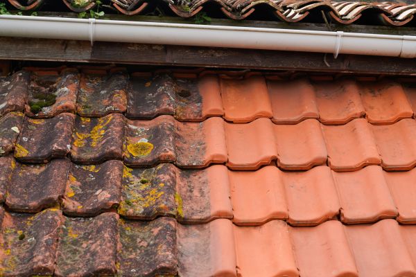 Industrial Roof Cleaning in Kailua Kona